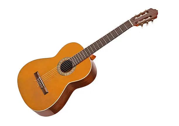 Guitar Classes in Rajahmundry